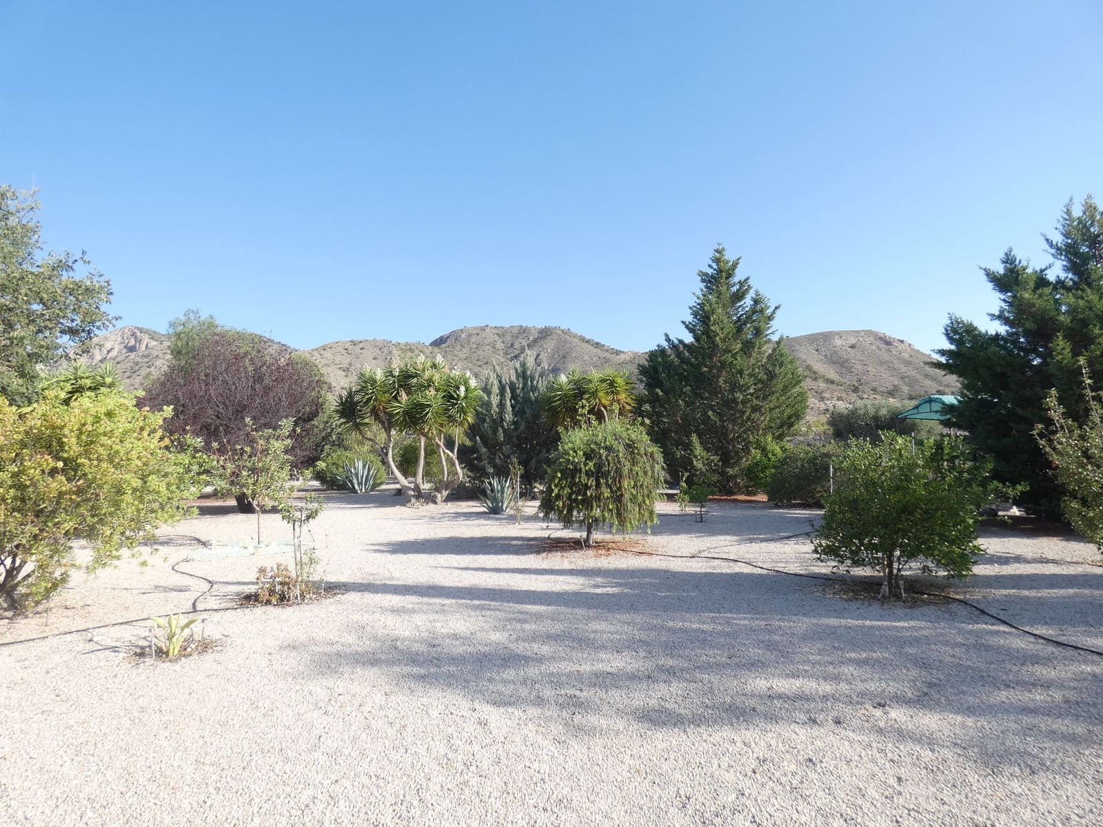 6 soverom Finca/Herregård til salgs i Macisvenda med svømmebasseng garasje - € 544 500 (Ref: 8532327)