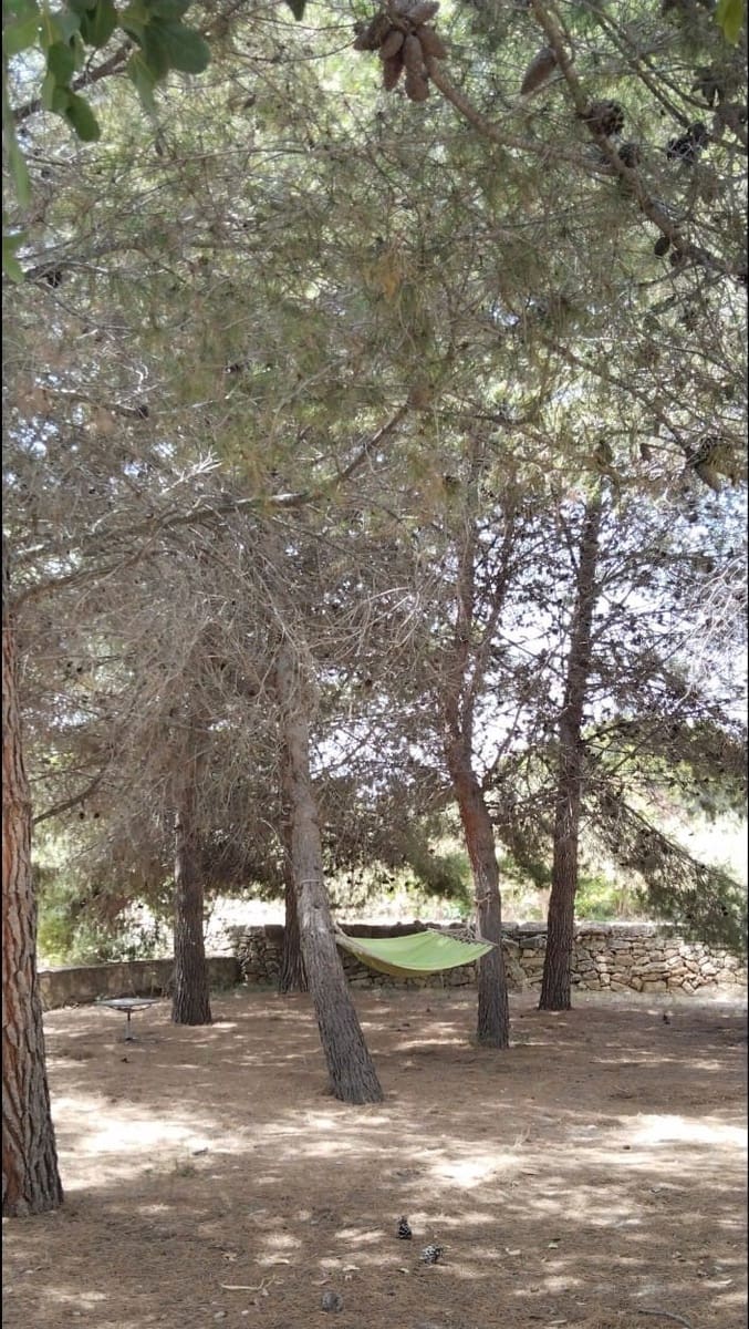 5 slaapkamer Villa te koop in Monovar / Monover met zwembad garage - € 375.000 (Ref: 8550271)