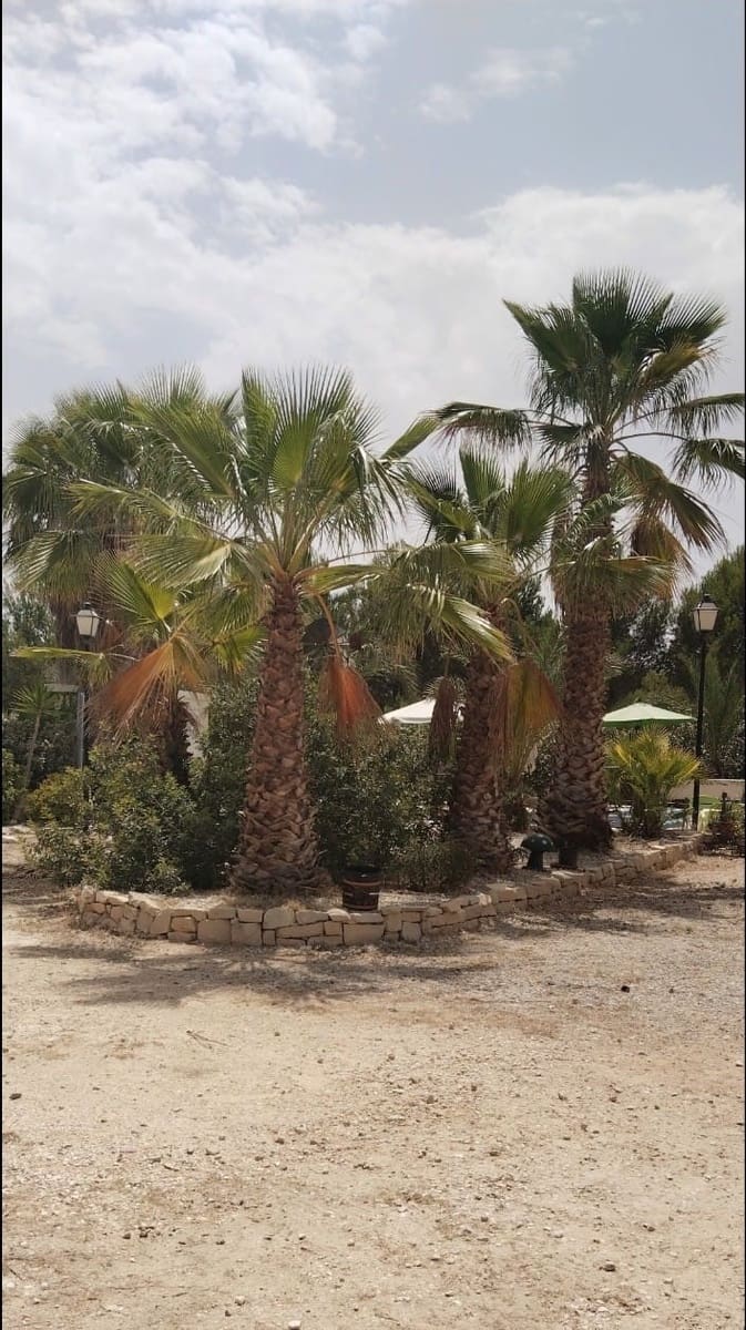 5 slaapkamer Villa te koop in Monovar / Monover met zwembad garage - € 375.000 (Ref: 8550271)