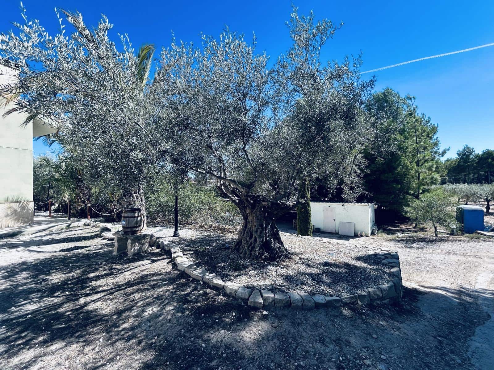 5 slaapkamer Villa te koop in Monovar / Monover met zwembad garage - € 375.000 (Ref: 8550271)