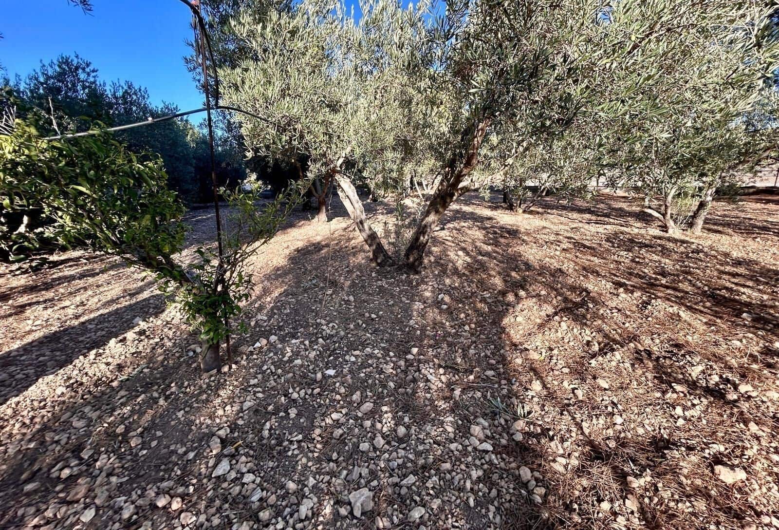 5 soverom Finca/Herregård til salgs i Hondon de las Nieves med svømmebasseng garasje - € 262 000 (Ref: 8619263)