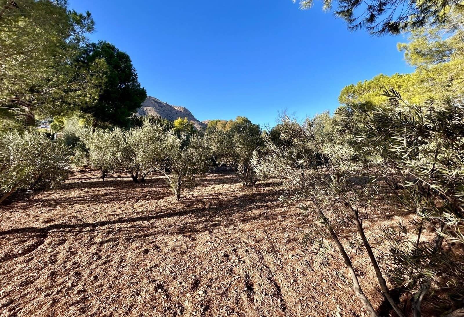 5 soverom Finca/Herregård til salgs i Hondon de las Nieves med svømmebasseng garasje - € 262 000 (Ref: 8619263)