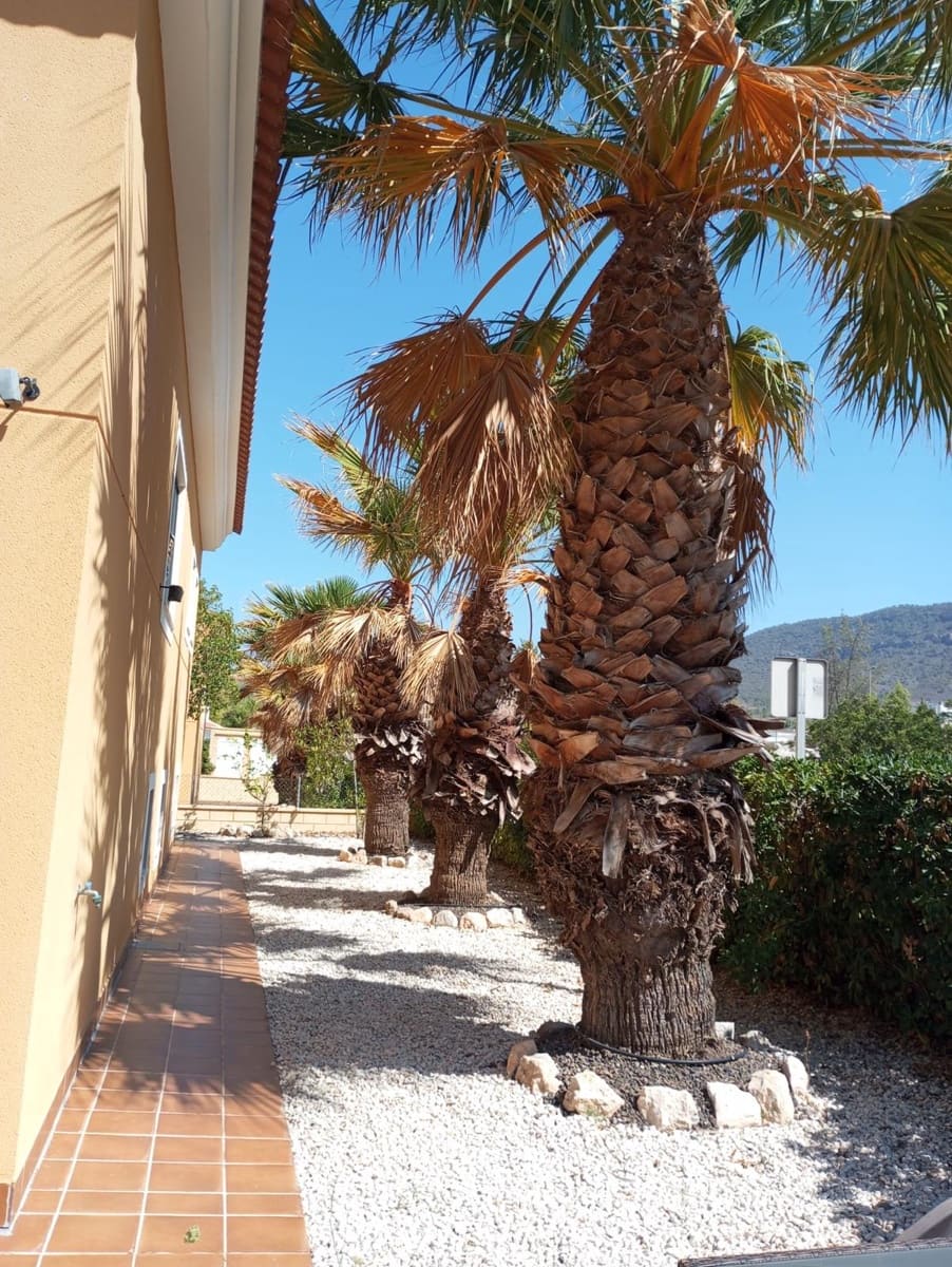 3 sypialnia Willa na sprzedaż w La Romana z basenem garażem - 219 000 € (Ref: 8777479)