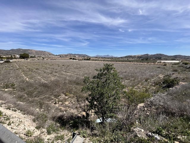 Bouwgrond te koop in La Romana - € 55.000 (Ref: 8910073)