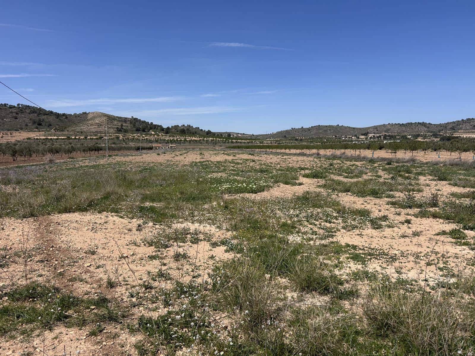 3 slaapkamer Villa te koop in Canada de la Lena met zwembad garage - € 340.000 (Ref: 8929497)