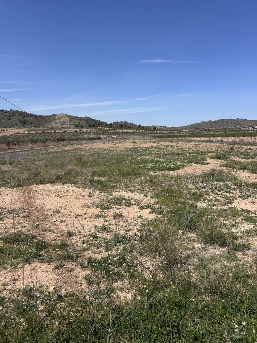 3 slaapkamer Villa te koop in Canada de la Lena met zwembad garage - € 340.000 (Ref: 8929497)