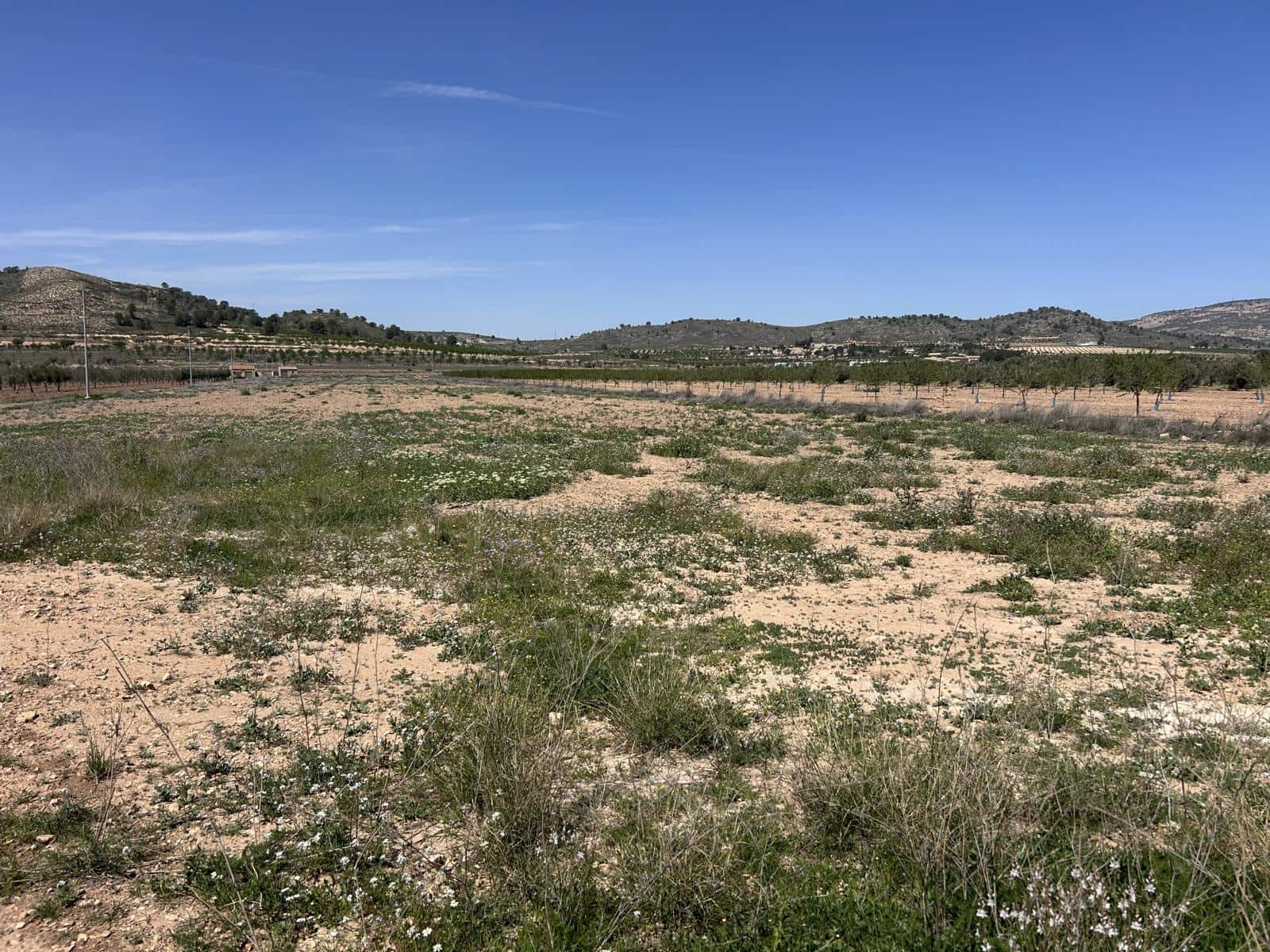 3 slaapkamer Villa te koop in Canada de la Lena met zwembad garage - € 340.000 (Ref: 8929497)