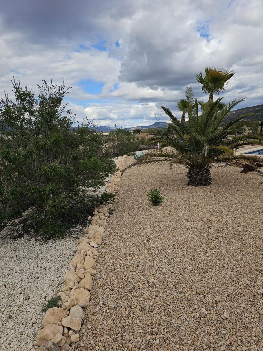 4 camera da letto Finca/Casa di Campagna in vendita in Salinas con piscina garage - 495.000 € (Rif: 8977550)