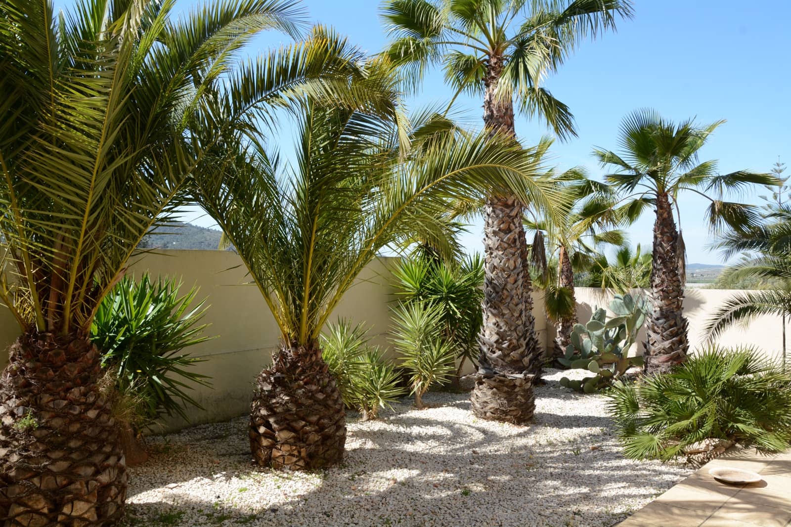 Chalet de 3 habitaciones en Hondón de las Nieves en venta con piscina garaje - 420.000 € (Ref: 9037473)