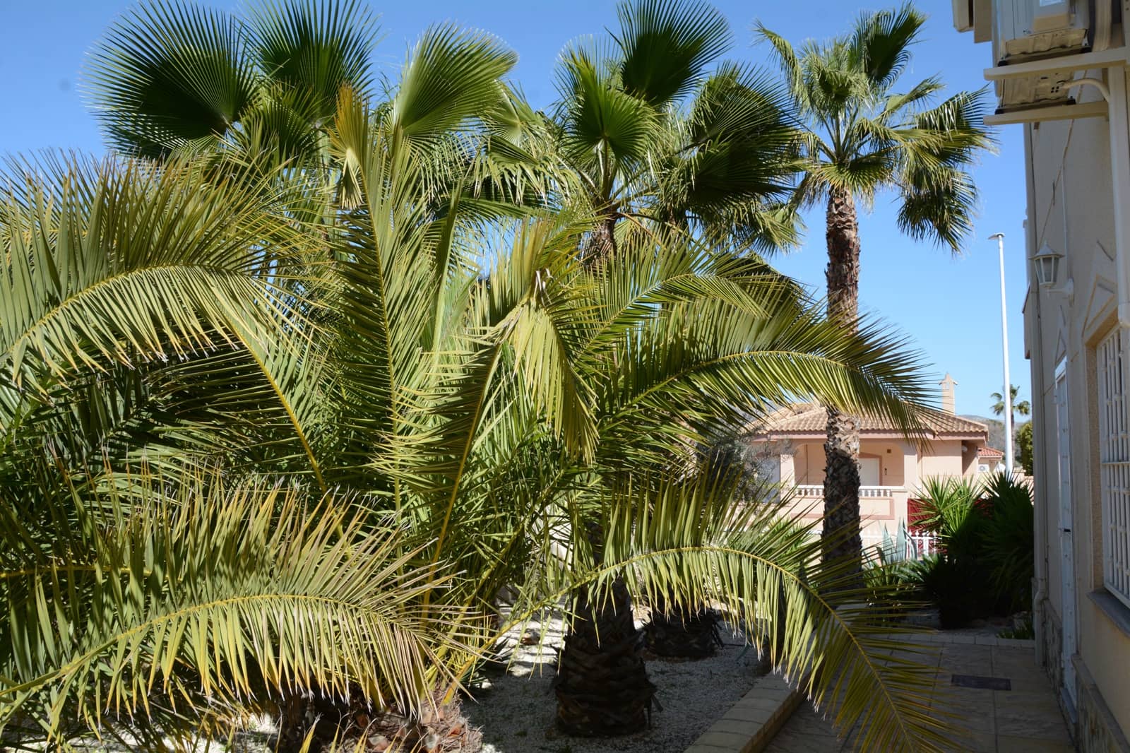 Chalet de 3 habitaciones en Hondón de las Nieves en venta con piscina garaje - 420.000 € (Ref: 9037473)