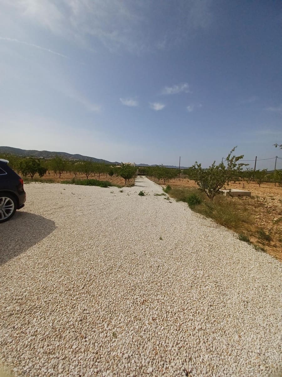 6 slaapkamer Villa te koop in Pinoso met zwembad garage - € 649.995 (Ref: 9080742)