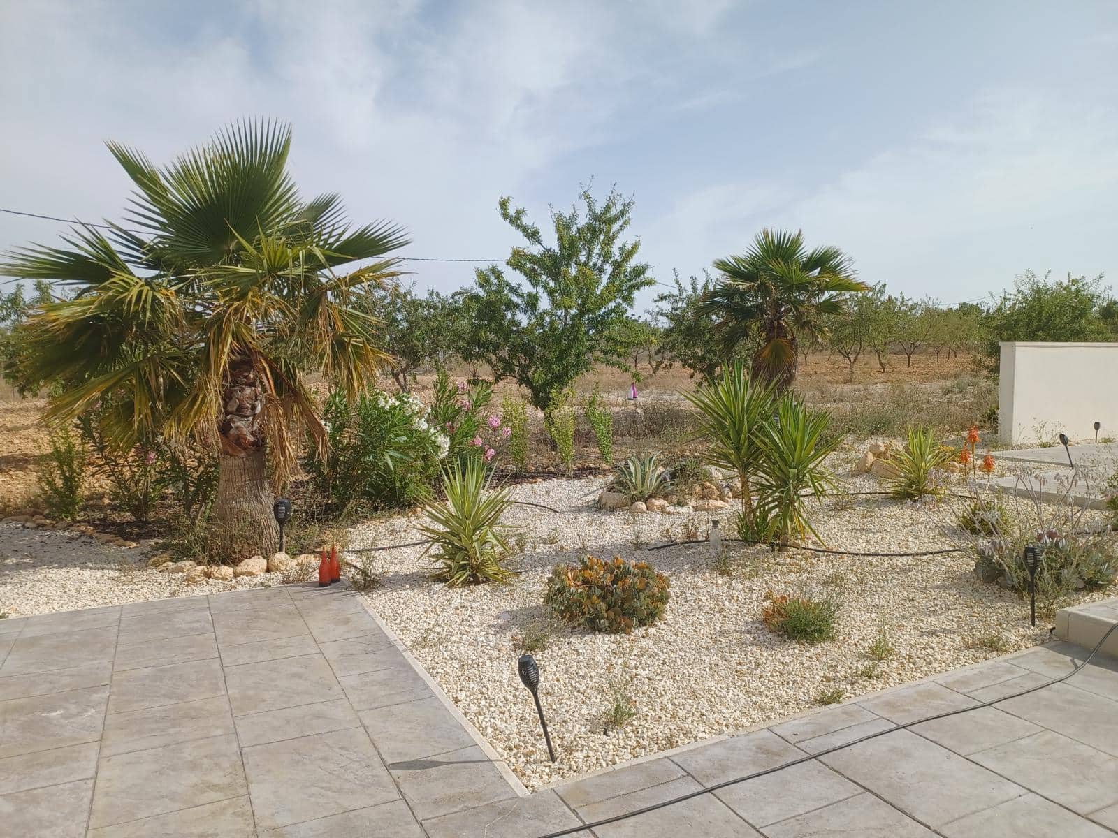 6 slaapkamer Villa te koop in Pinoso met zwembad garage - € 649.995 (Ref: 9080742)