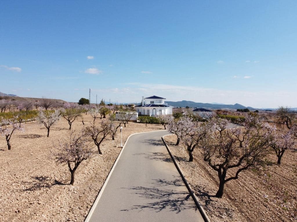 4 slaapkamer Villa te koop in Pinoso met zwembad garage - € 475.000 (Ref: 9131117)