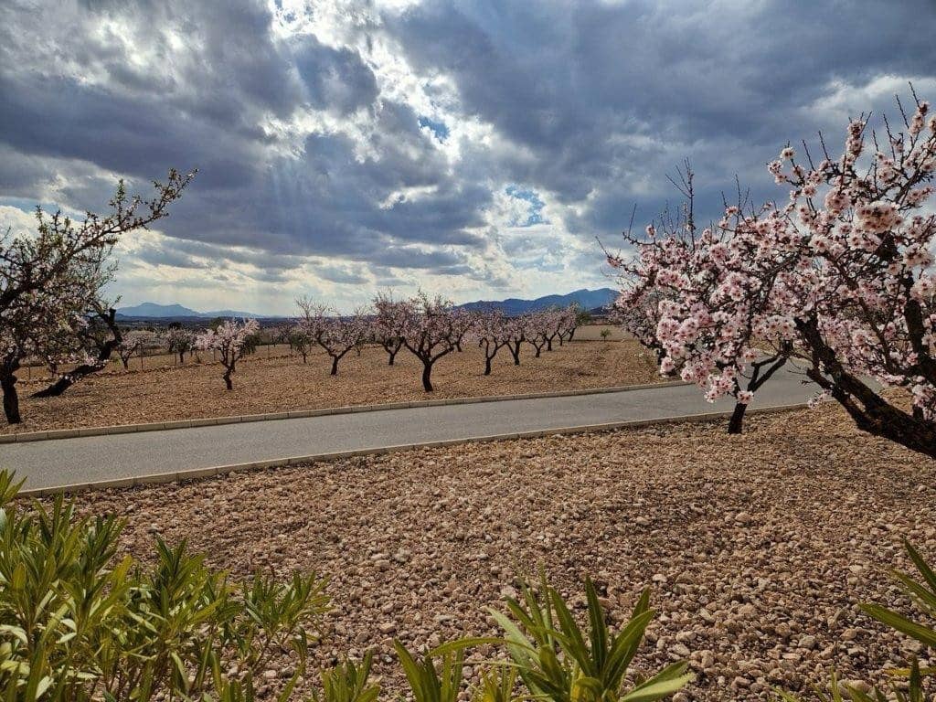 4 slaapkamer Villa te koop in Pinoso met zwembad garage - € 475.000 (Ref: 9131117)