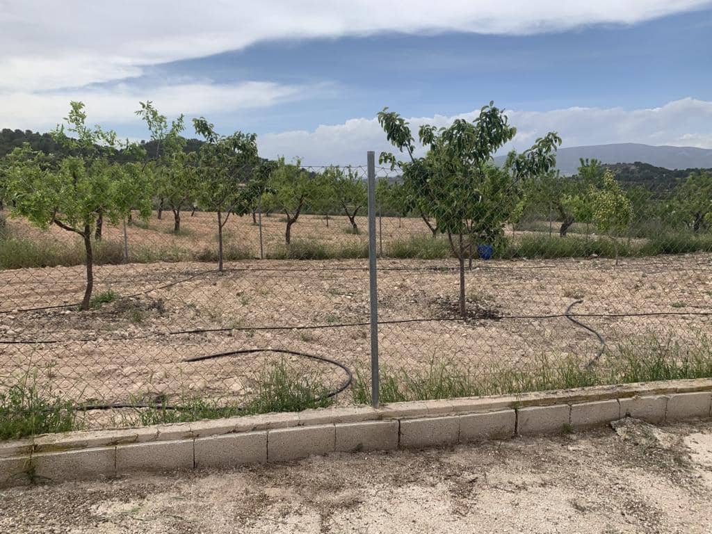 4 soveværelse Finca/Landehus til salg i Chinorlet / Xinorlet med swimmingpool - € 179.900 (Ref: 9161749)