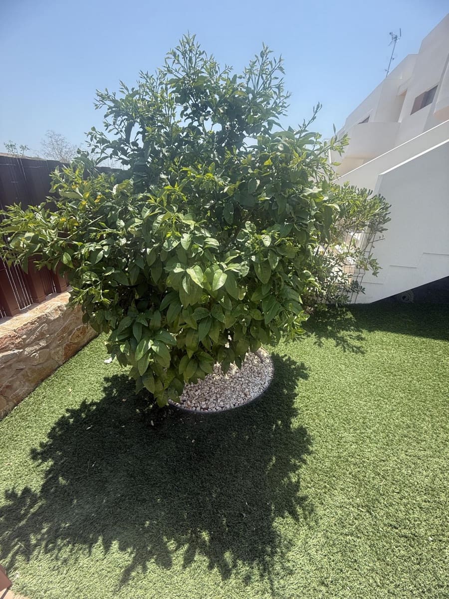 2 bedroom Apartment for sale in Vistabella with pool garage - € 274,950 (Ref: 9172301)