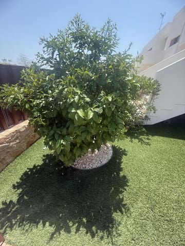 2 soveværelse Lejlighed til salg i Vistabella, Orihuela med swimmingpool garage - € 274.950 (Ref: 9172301)