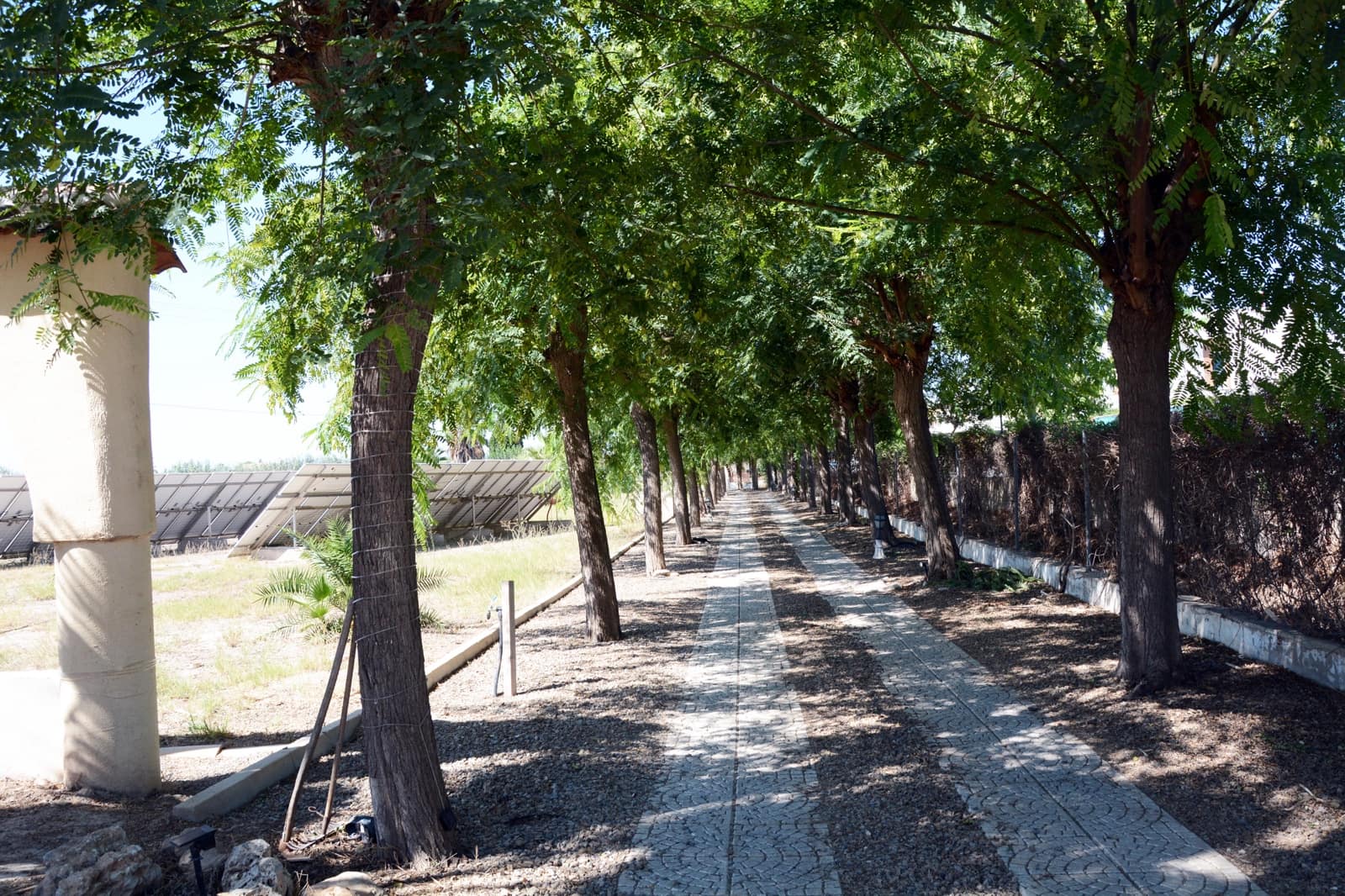 6 soveværelse Finca/Landehus til salg i Daya Vieja med swimmingpool garage - € 1.100.000 (Ref: 9201092)