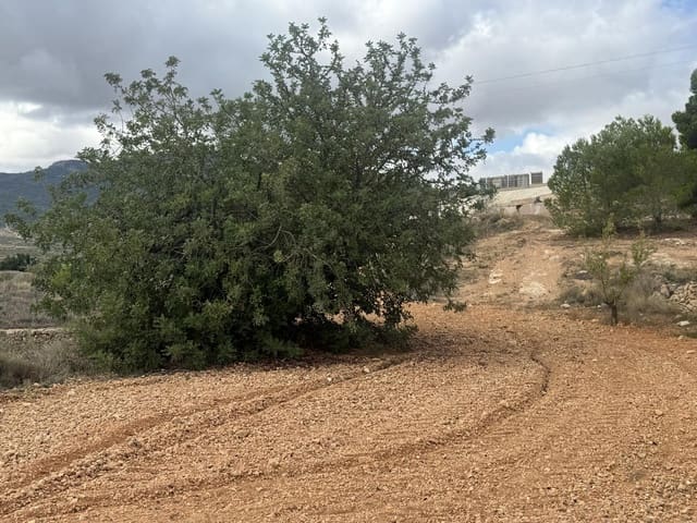 Rakentamaton maa myytävänä paikassa La Romana - 12 000 € (Ref: 9288512)