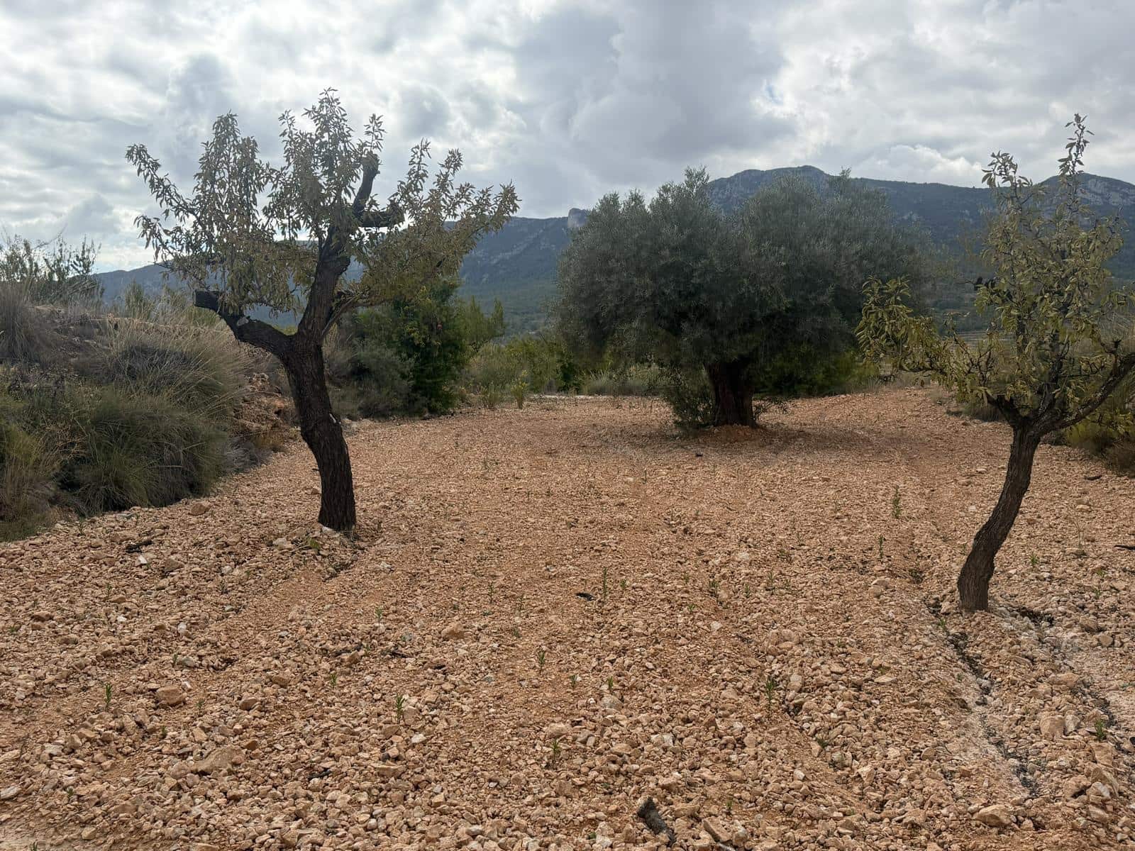 Rakentamaton maa myytävänä paikassa La Romana - 12 000 € (Ref: 9288512)