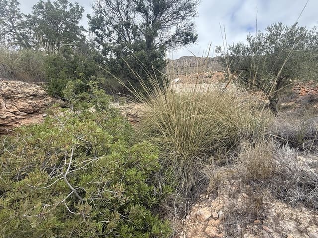 Rakentamaton maa myytävänä paikassa La Romana - 12 000 € (Ref: 9288512)