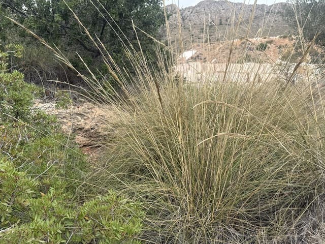 Rakentamaton maa myytävänä paikassa La Romana - 12 000 € (Ref: 9288512)