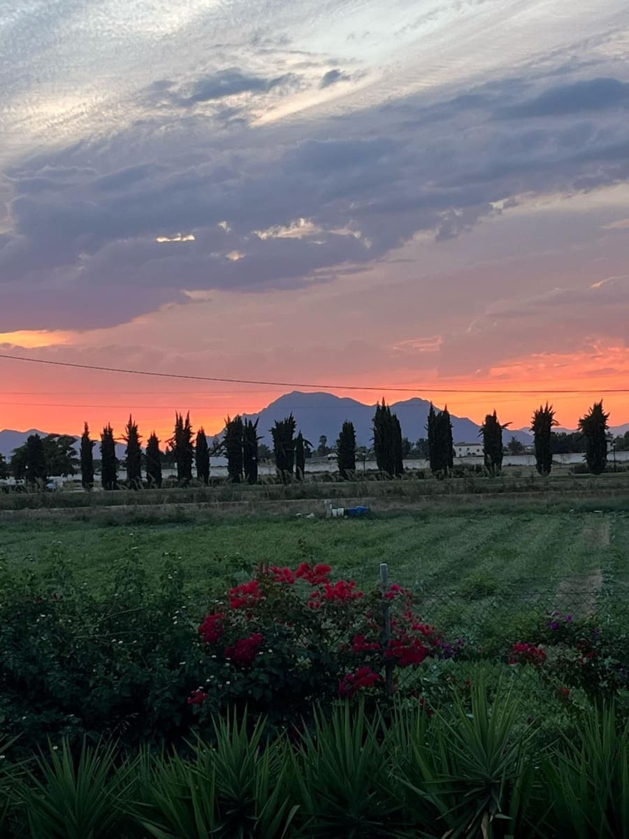 4 sypialnia Finka/Dom wiejski na sprzedaż w Daya Vieja z basenem garażem - 595 000 € (Ref: 9356905)