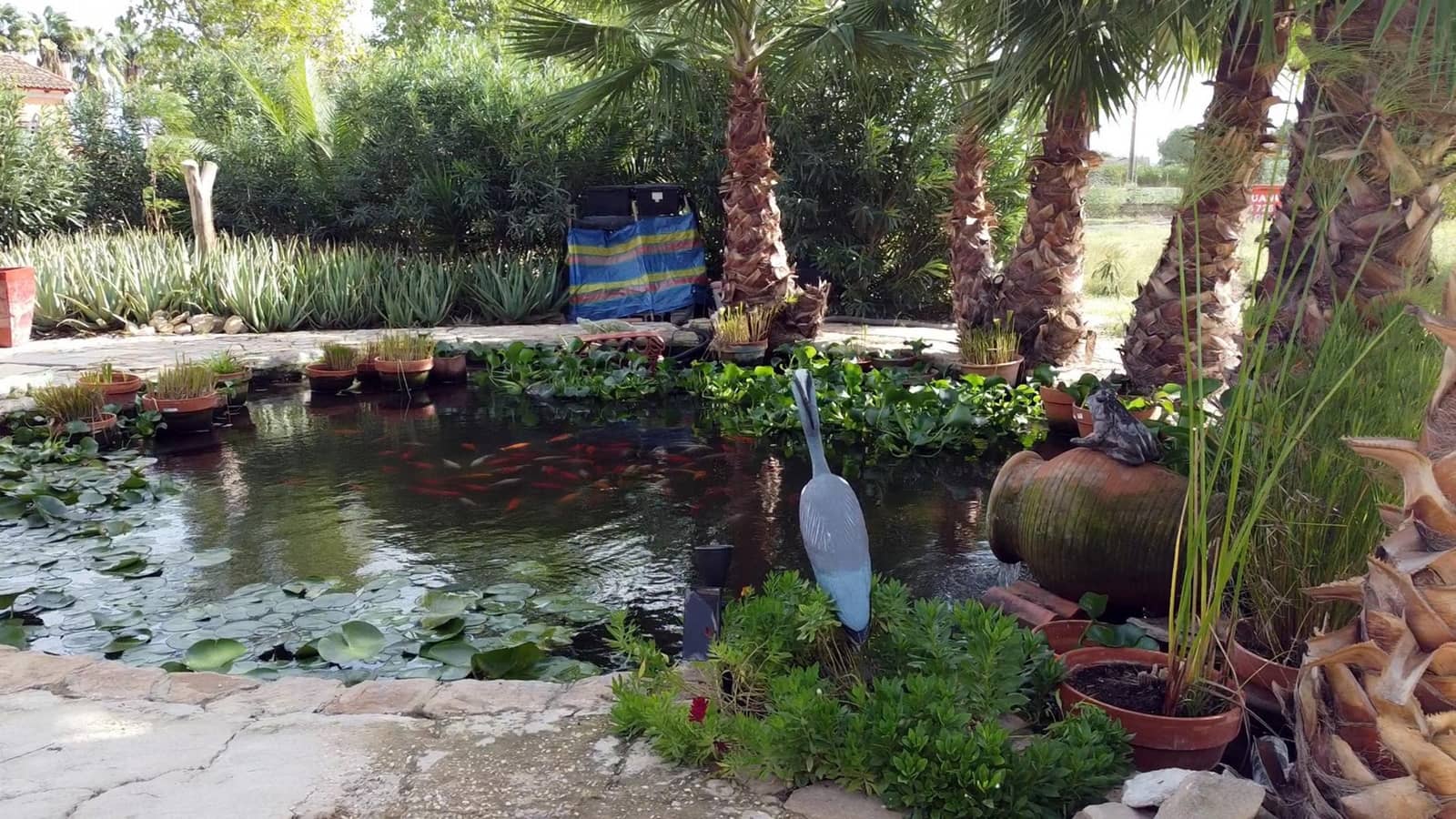 4 sypialnia Finka/Dom wiejski na sprzedaż w Daya Vieja z basenem garażem - 595 000 € (Ref: 9356905)