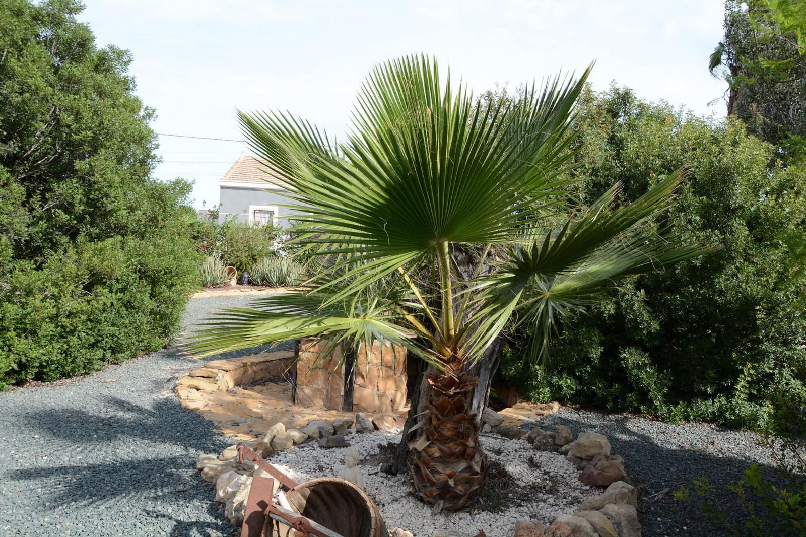 4 sypialnia Finka/Dom wiejski na sprzedaż w Daya Vieja z basenem garażem - 595 000 € (Ref: 9356905)