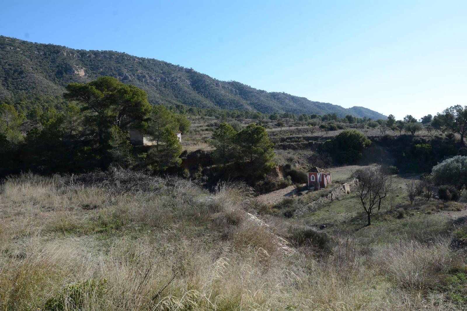 6 bedroom Finca/Country House for sale in Monovar / Monover with garage - € 599,950 (Ref: 9490002)