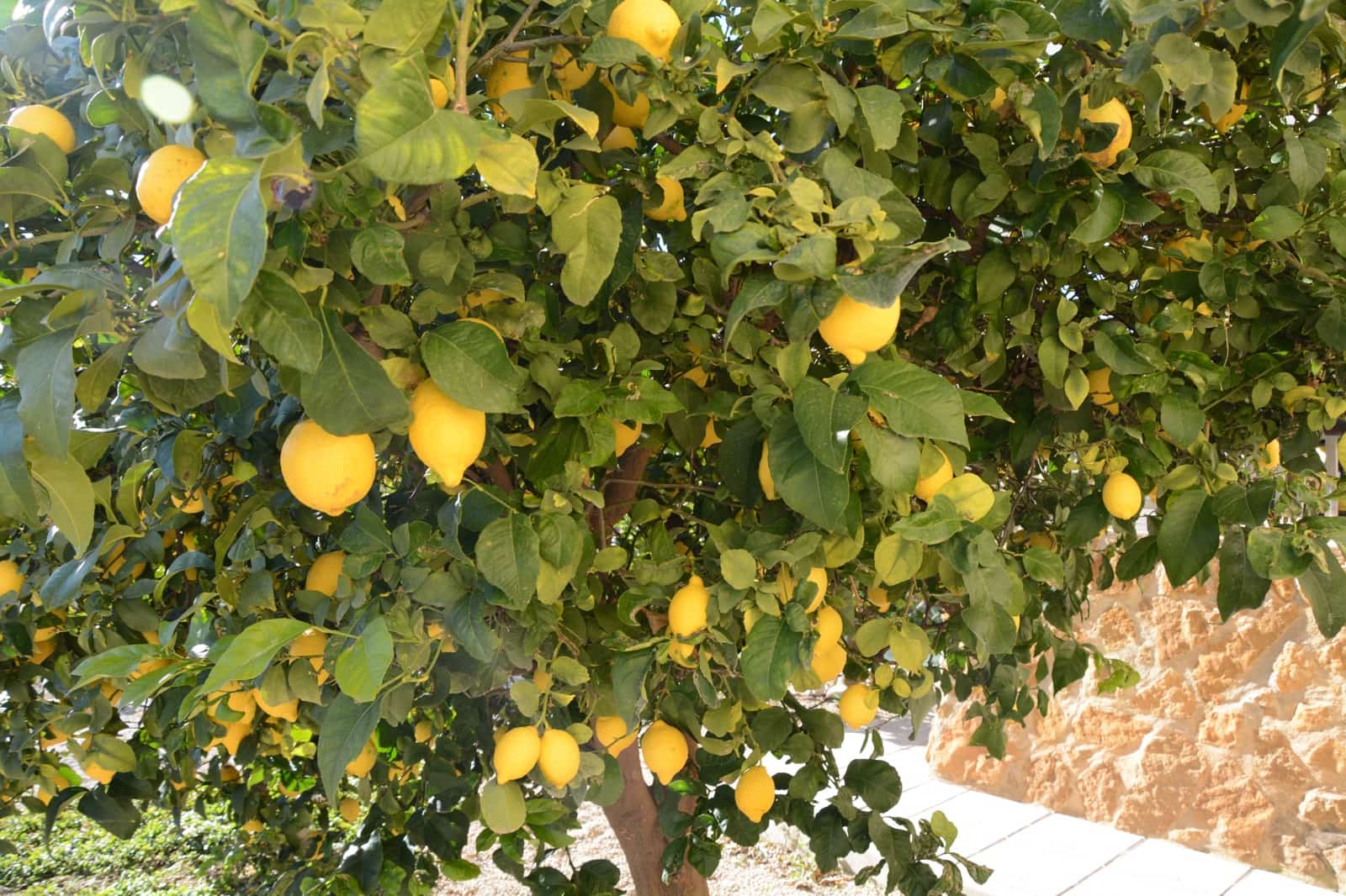 3 makuuhuone Huvila myytävänä paikassa Abanilla mukana uima-altaan 
autotalli - 349 000 € (Ref: 9498013)