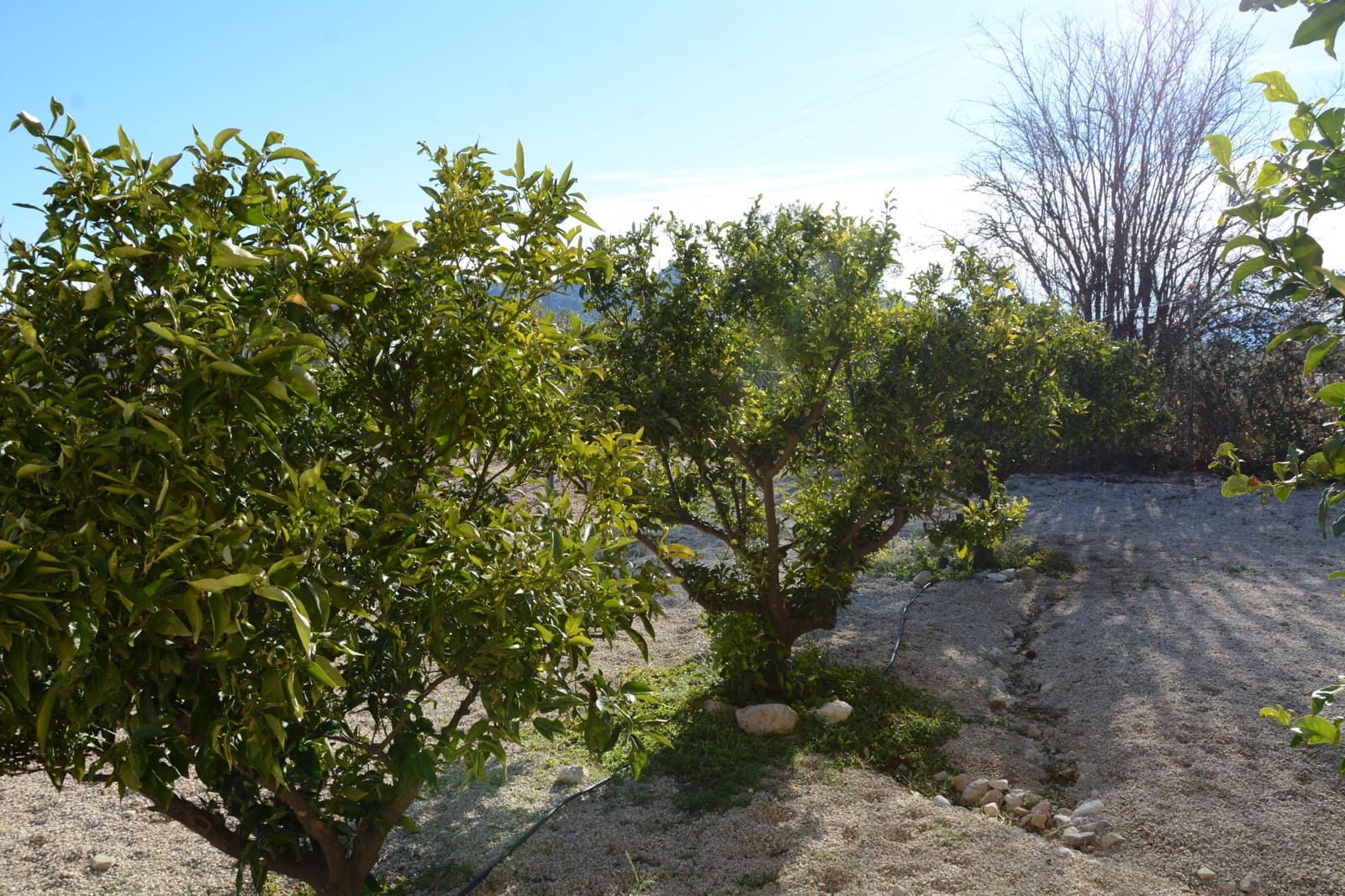 3 makuuhuone Huvila myytävänä paikassa Abanilla mukana uima-altaan 
autotalli - 349 000 € (Ref: 9498013)