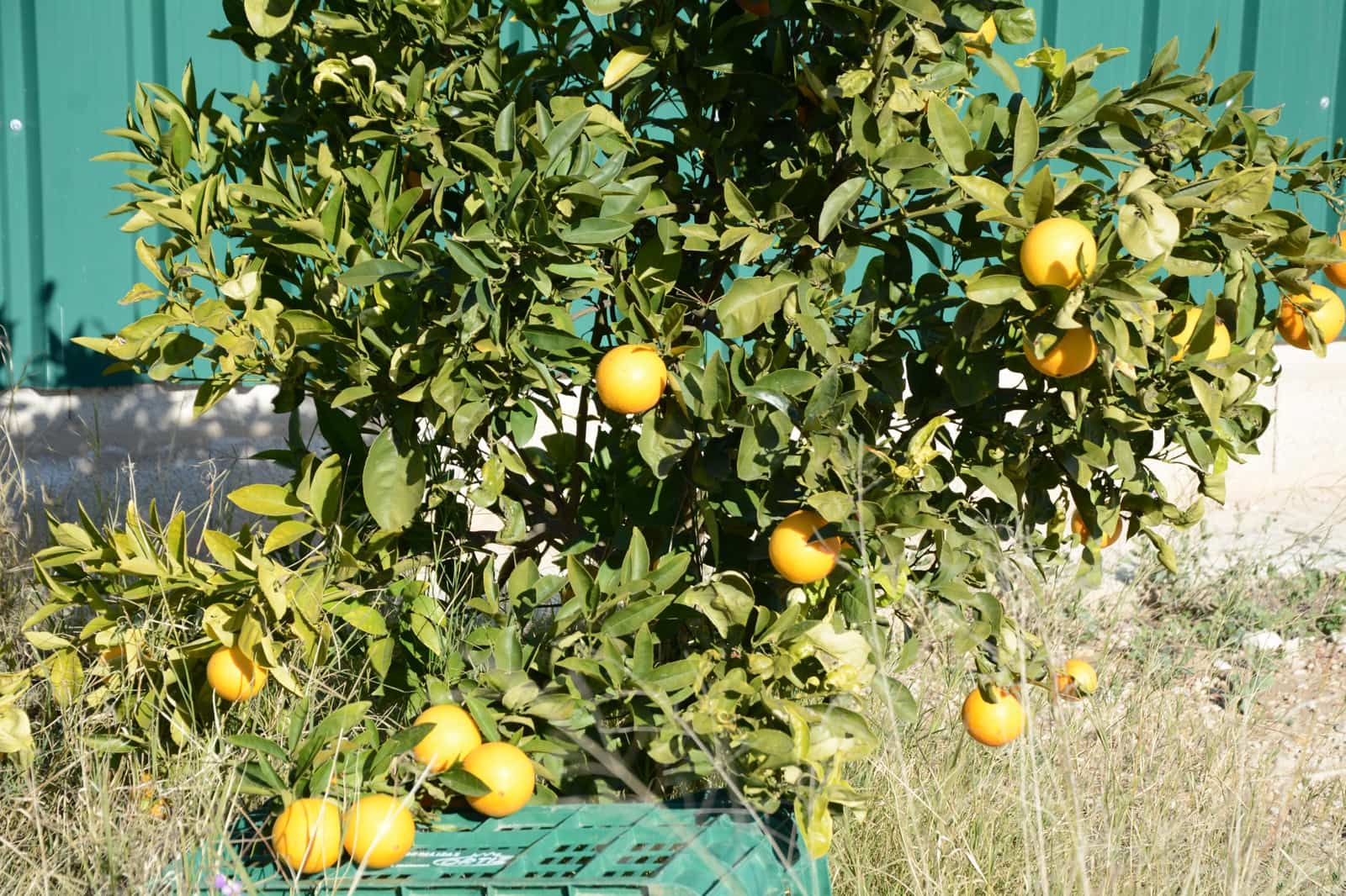 3 makuuhuone Huvila myytävänä paikassa Abanilla mukana uima-altaan 
autotalli - 349 000 € (Ref: 9498013)