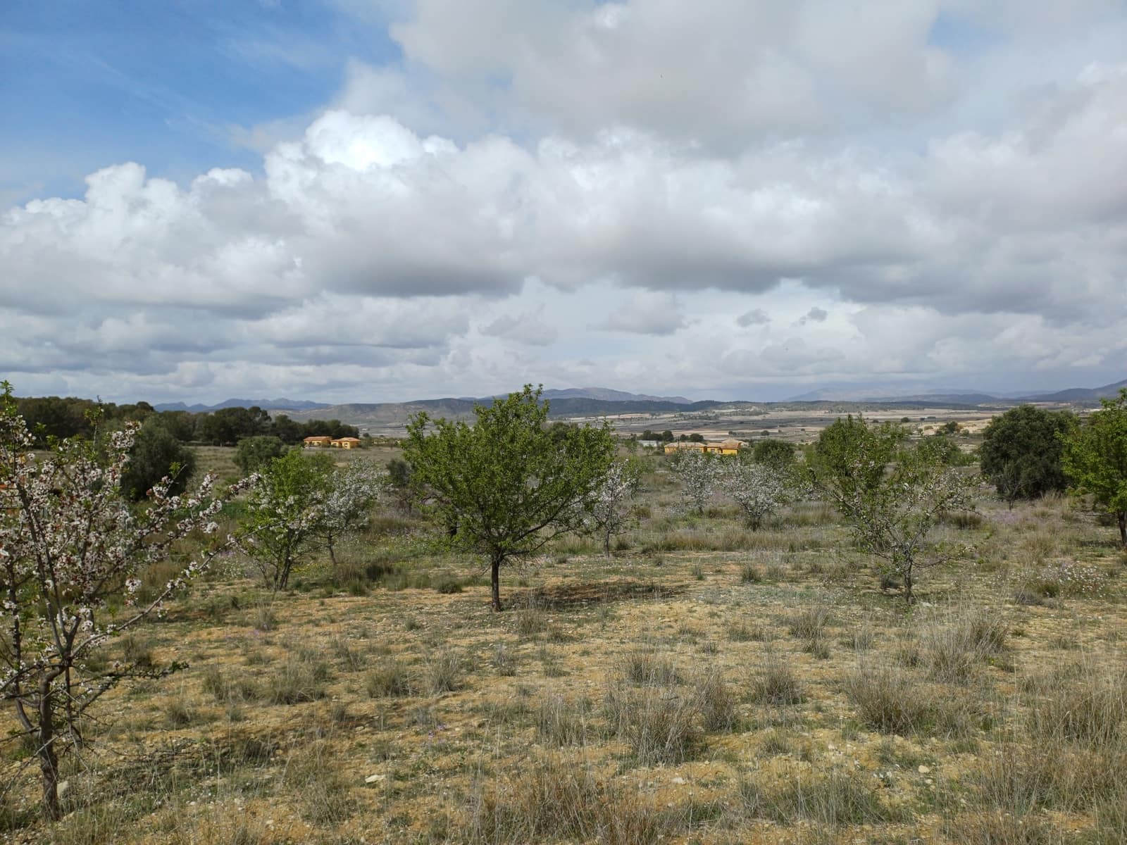 3 sovrum Finca/Hus på landet till salu i Abanilla med garage - 82 000 € (Ref: 9665355)