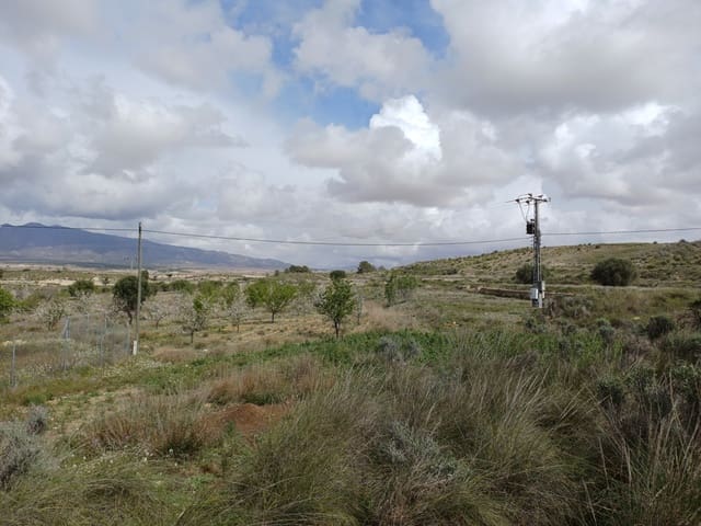 3 sovrum Finca/Hus på landet till salu i Abanilla med garage - 82 000 € (Ref: 9665355)