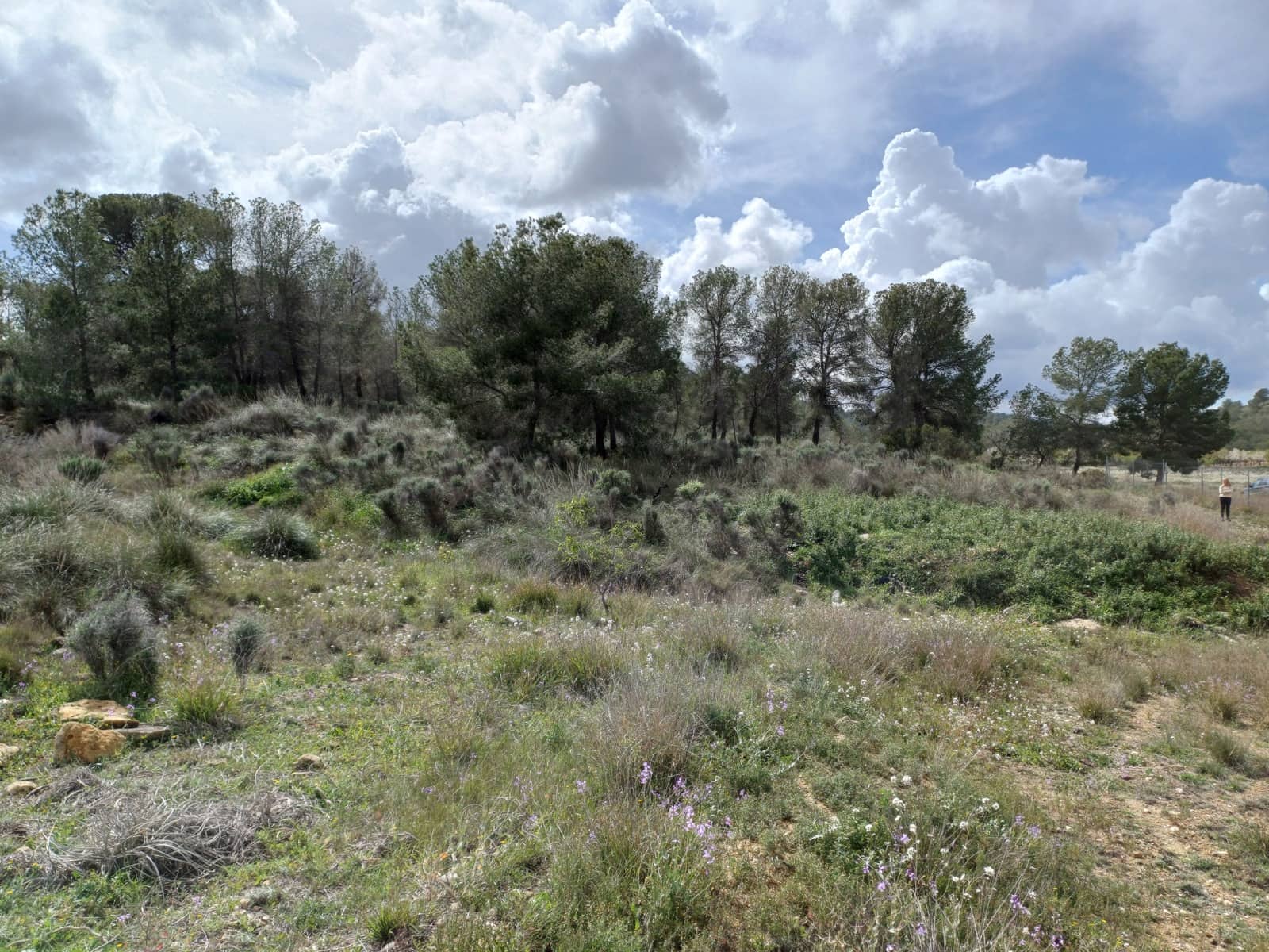 3 sovrum Finca/Hus på landet till salu i Abanilla med garage - 82 000 € (Ref: 9665355)