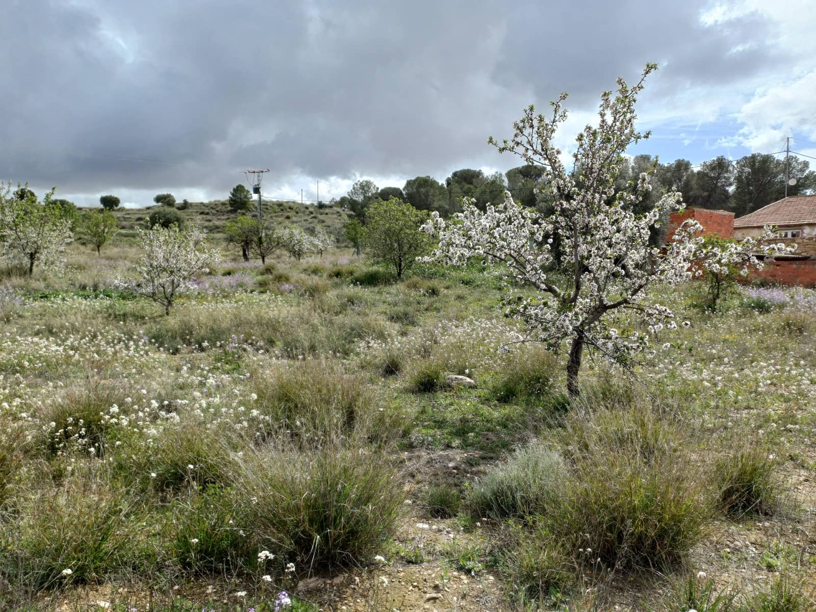 3 sovrum Finca/Hus på landet till salu i Abanilla med garage - 82 000 € (Ref: 9665355)