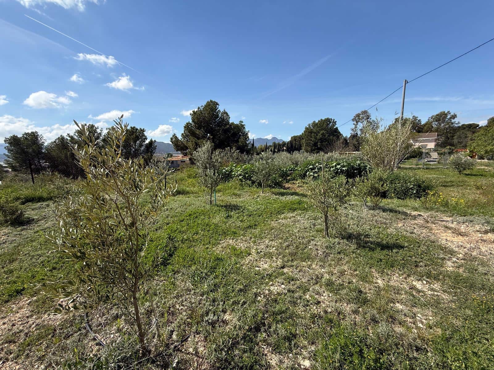 4 Zimmer Villa zu verkaufen in La Romana mit Pool Garage - 320.000 € (Ref: 9743020)