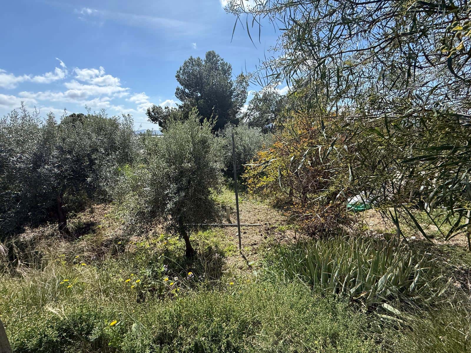 4 Zimmer Villa zu verkaufen in La Romana mit Pool Garage - 320.000 € (Ref: 9743020)