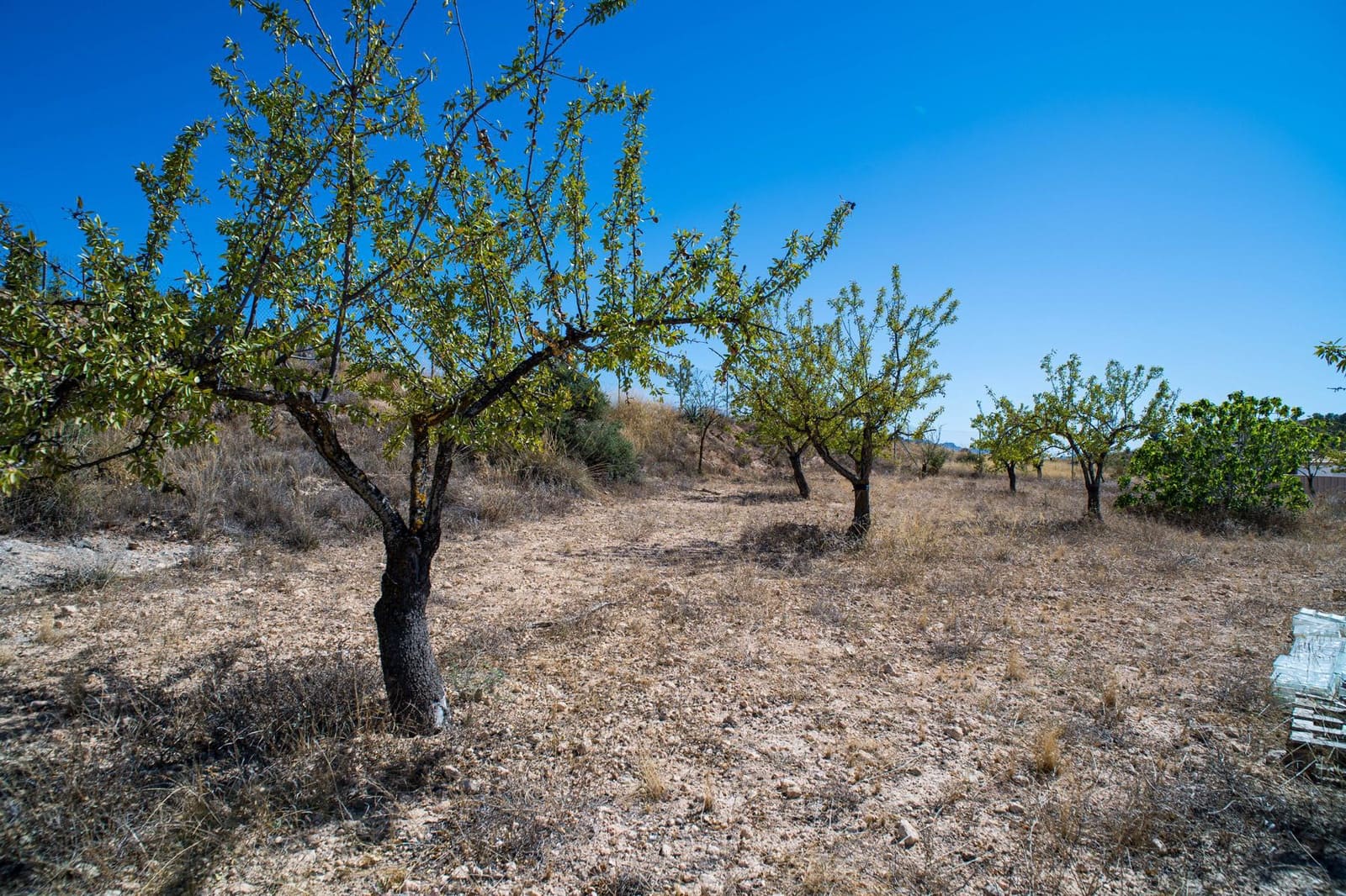 3 camera da letto Villa in vendita in Pinoso con piscina garage - 349.995 € (Rif: 9769918)