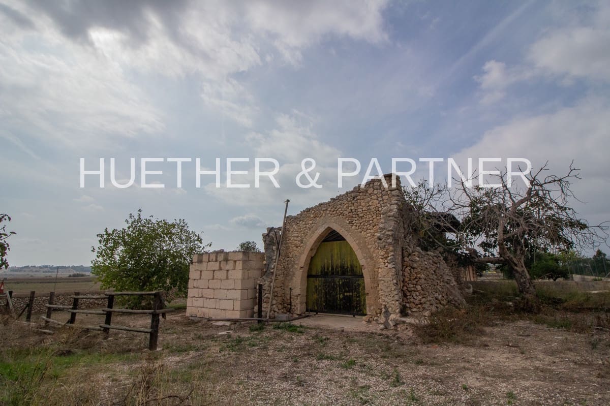 5 chambre Finca/Maison de Campagne à vendre à Vilafranca de Bonany - 790 000 € (Ref: 4803196)