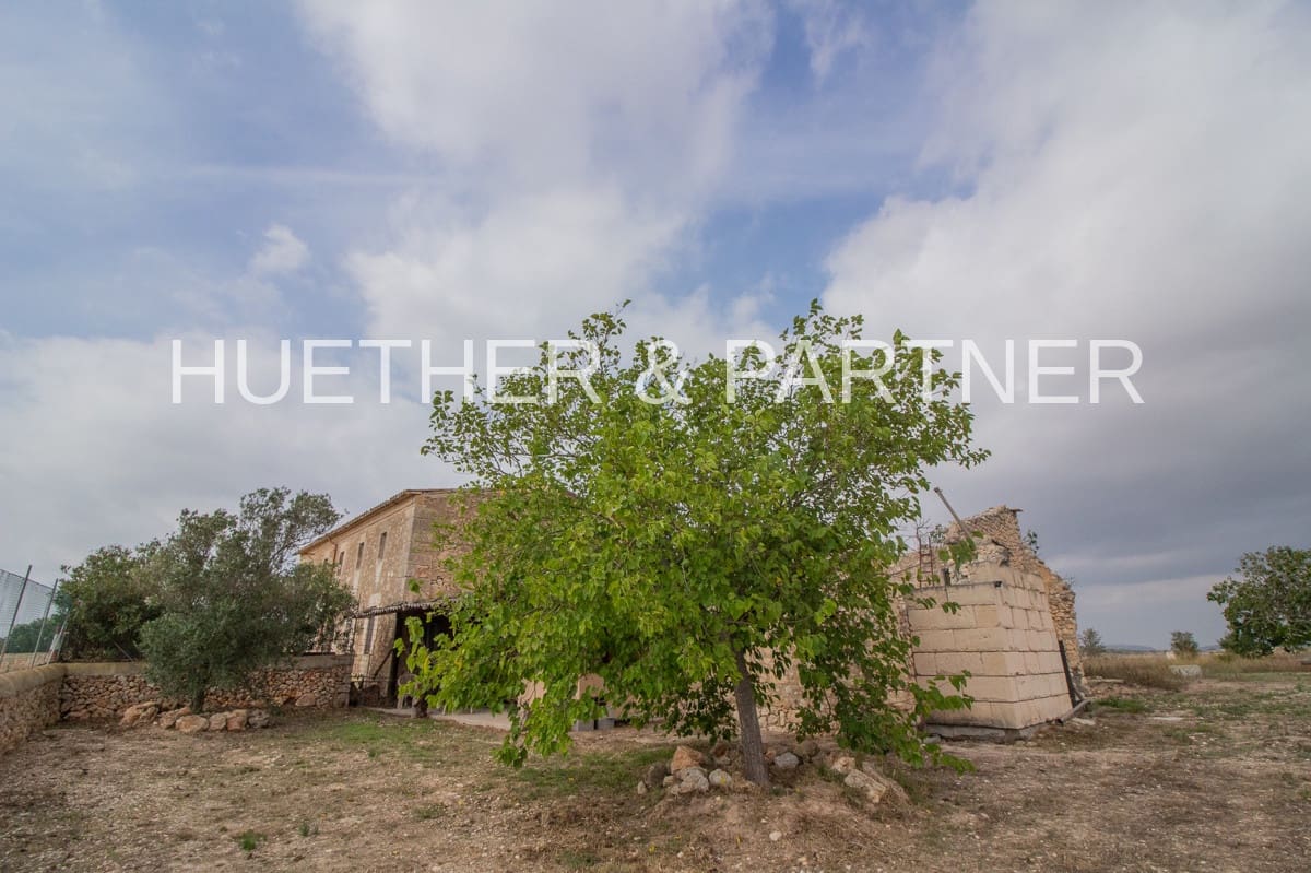 5 chambre Finca/Maison de Campagne à vendre à Vilafranca de Bonany - 790 000 € (Ref: 4803196)