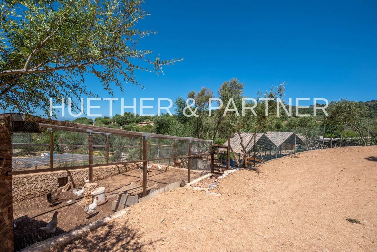 3 soverom Finca/Herregård til salgs i Son Macia - € 898 000 (Ref: 5321063)