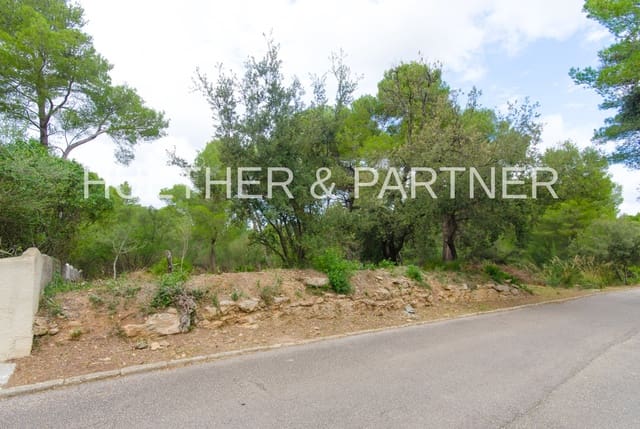 Terre non Aménagée à vendre à Betlem, Artà - 220 000 € (Ref: 5749247)