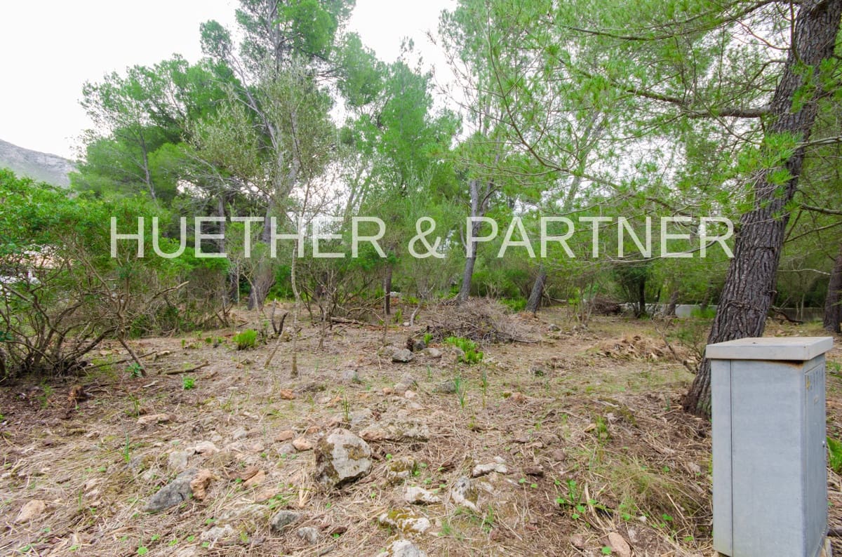 Terre non Aménagée à vendre à Betlem - 220 000 € (Ref: 5749247)