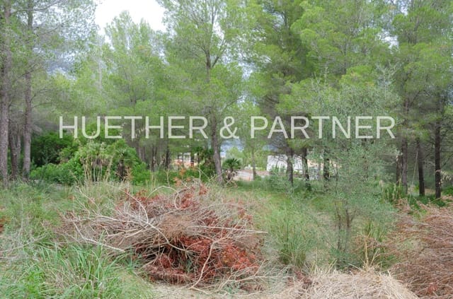 Terre non Aménagée à vendre à Betlem, Artà - 220 000 € (Ref: 5749247)