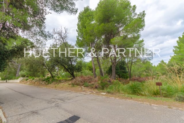 Terre non Aménagée à vendre à Betlem, Artà - 220 000 € (Ref: 5749247)