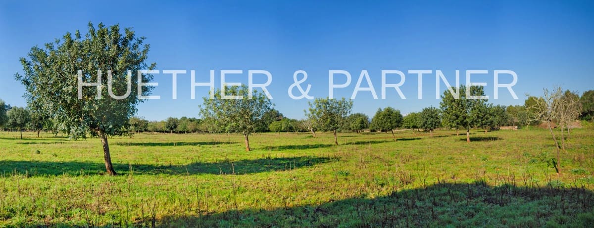 Ubebygd land til salgs i Manacor - € 500 000 (Ref: 7375075)