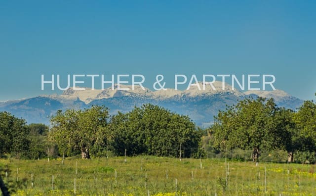 Ubebygd land til salgs i Manacor - € 500 000 (Ref: 7375075)