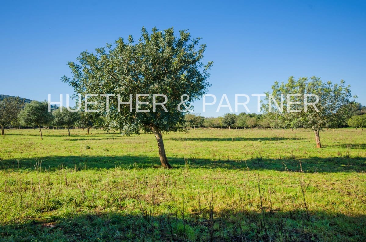 Ubebygd land til salgs i Manacor - € 500 000 (Ref: 7375075)